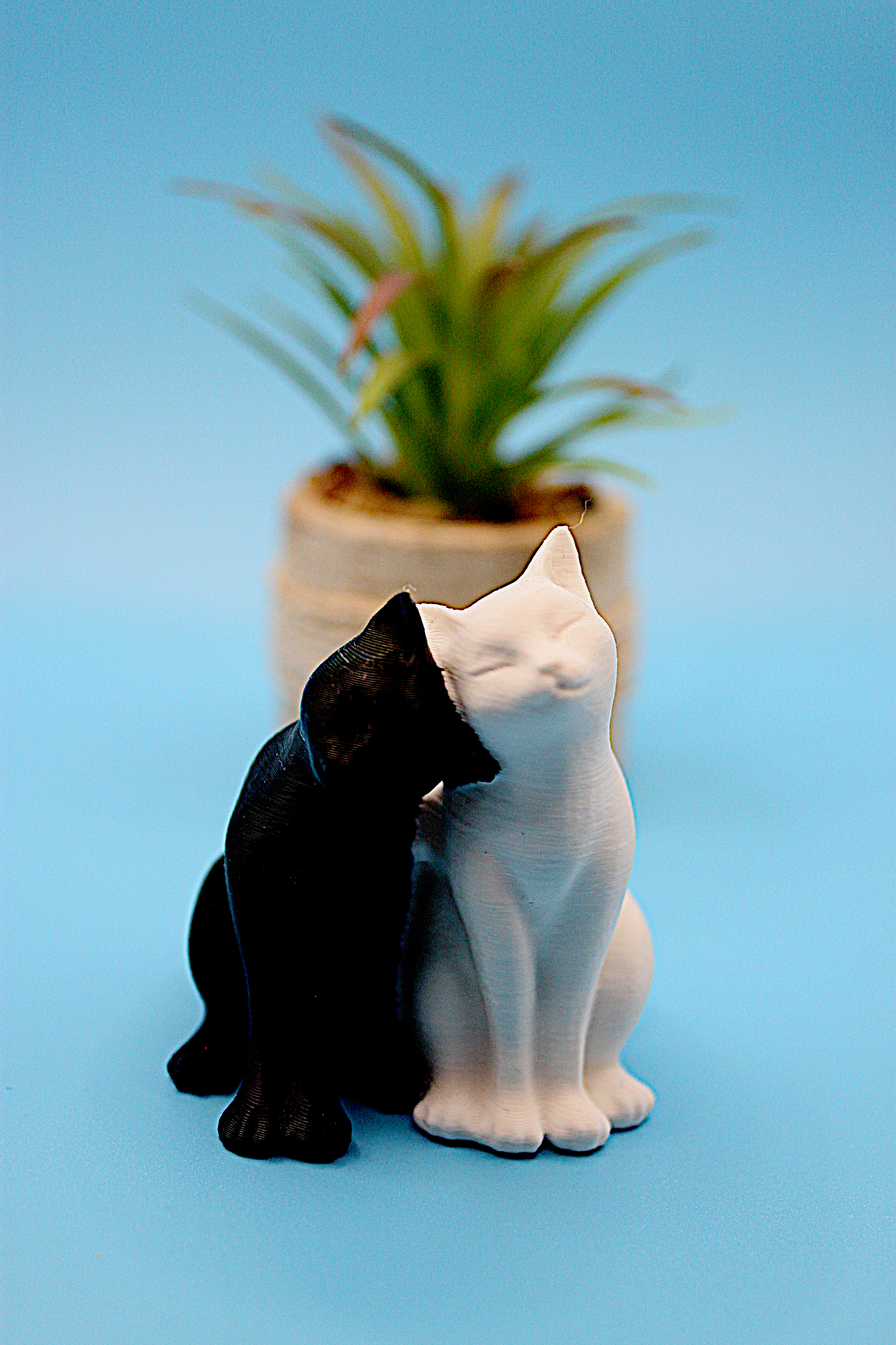 Katzenpaar Schwarz/Weiß – 3D-gedrucktes Produkt von Scherer 3D